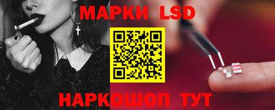 Альфа ПВП Будённовск