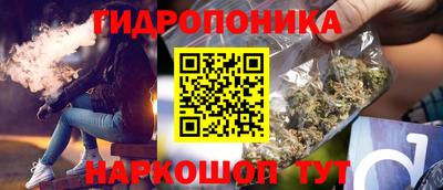 Альфа ПВП Будённовск